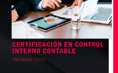 Auditoria basada en Riesgos – Introducción COSO III